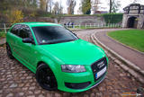 th_92262_shooting_audi_S3_131_122_1147lo.JPG