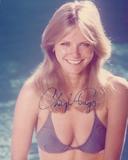 cheryl tiegs cheryl tiegs