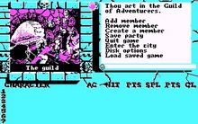 Bard's Tale II: The Destiny Knight ,the
