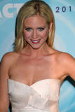 th_01399_celebrity_paradise.com_TheElder_BrittanySnow33_122_396lo.jpg